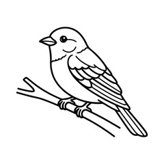 Obraz premium Black and white line drawing of a small bird perched on a branch outline