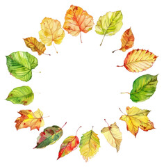 PNG Autumn leaves circle frame plant leaf tree.