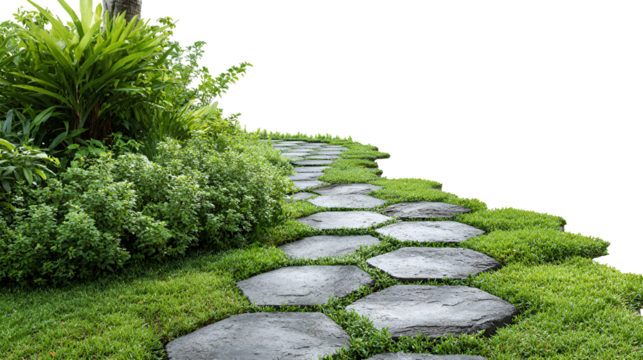 Stone pathway through lush green garden isolated on transparent background