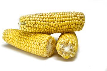 Three ears of sweet corn isolated on white background