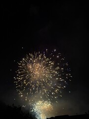 Fototapeta premium Fireworks at the national holiday in Vaduz in Liechtenstein 15.8.2025