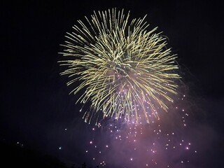Naklejka premium Fireworks at the national holiday in Vaduz in Liechtenstein 15.8.2025