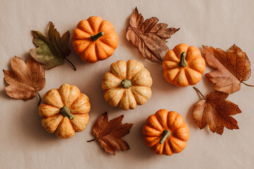Fototapeta premium Vibrant autumn harvest arrangement featuring mini pumpkins and rustic fall leaves, perfect for seasonal celebrations and cozy decor projects.