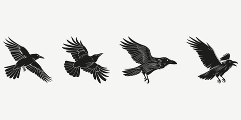 raven crow sketch illustration vector
