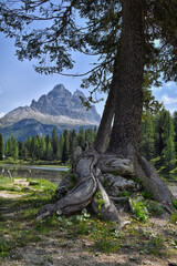 Il caratteristico lago alpino di Antorno,in Trentino,tra il lago di Misurina e le Tre cime di Lavaredo.
