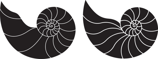 Two black nautilus shell silhouettes isolated on white background