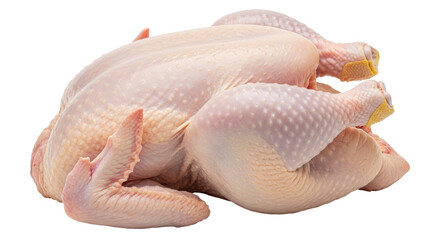 Isolated Raw Whole Chicken