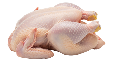 Isolated Raw Whole Chicken