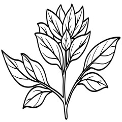 Minimal Vintage Botanical Line Art Vector Illustration on White Background