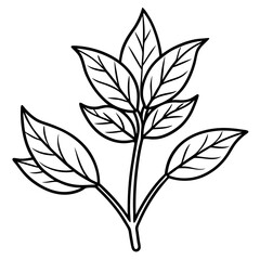 Minimal Vintage Botanical Line Art Vector Illustration on White Background