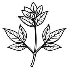 Minimal Vintage Botanical Line Art Vector Illustration on White Background