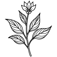 Minimal Vintage Botanical Line Art Vector Illustration on White Background