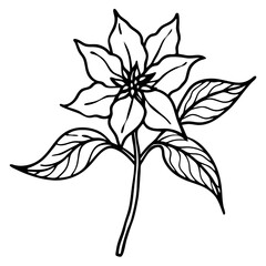 Elegant Hand-Drawn Botanical Plant Line Art Vintage Vector Design Isolated on White