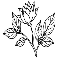 Elegant Hand-Drawn Botanical Plant Line Art Vintage Vector Design Isolated on White