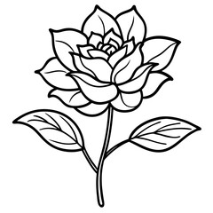 Obraz premium Elegant Hand-Drawn Botanical Plant Line Art Vintage Vector Design Isolated on White