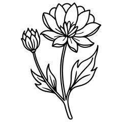 Elegant Hand-Drawn Botanical Plant Line Art Vintage Vector Design Isolated on White