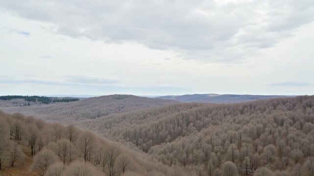Landscape featuring sparse trees under cloudy sky during day