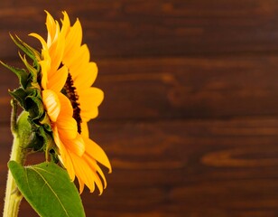 Obraz premium Close-up sunflower against wooden backdrop