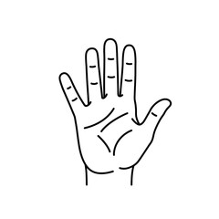 Fototapeta premium Detailed Hand Outline – Palmistry Lines Vector Illustration for Design