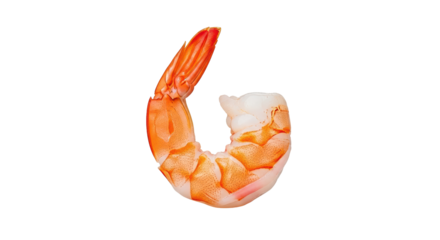 Isolated Single Shrimp Tail