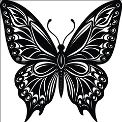 black and white butterfly