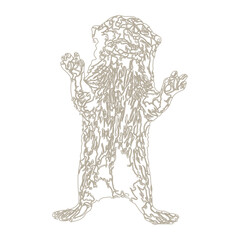 Cut upright, oblique standing otter, looking curiously to the front color background