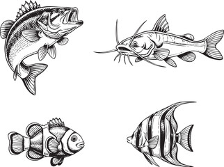 Vintage Hand-Drawn Fish Set in Black and White Vector (Bass, Catfish, Clownfish, Angelfish)