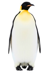 Full body portrait of an emperor penguin standing upright isolated on a transparent background