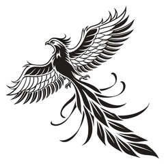 Obraz premium eagle with wings