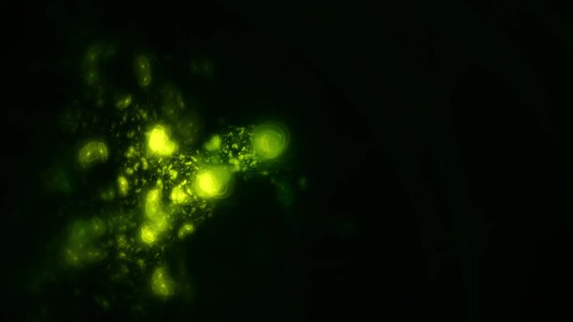 Organische gr&uuml;n leuchtende Zellstruktur, blasenf&ouml;rmige Viren & Bakterien in mikroskopischen Detailaufnahmen f&uuml;r Forschung & Wissenschaft, Biologie, Gesundheit, Infektion, Immunsystem, Medizin