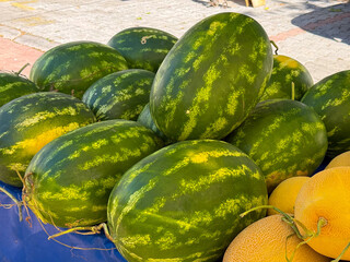 Large green watermelons arranged on blue cloth at market. Agriculture, farming, and seasonal fruit harvest with fresh nutrition lifestyle.