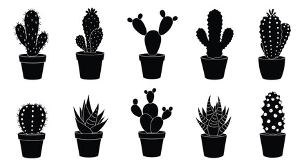 Black silhouettes of various cacti and succulents in pots on white background