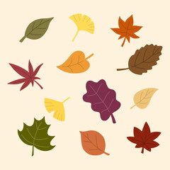 Colorful autumn leaves vector illustration on beige background