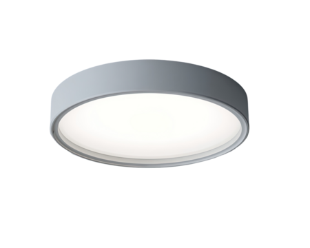 Circular, light gray ceiling light fixture.  Simple, modern design