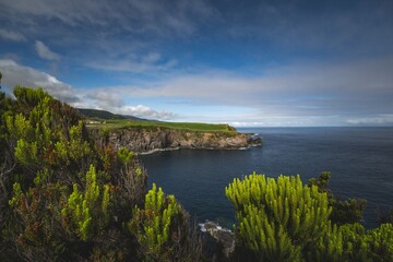 Lush green foliage overlooking a dramatic coastal cliff and ocean under a cloudy sky in Azores