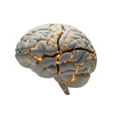 Brain of Gold- A Symbol of Post-Traumatic Growth (Psychological Resilience)
