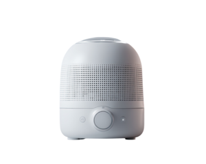 Small, light gray, rounded speaker with control