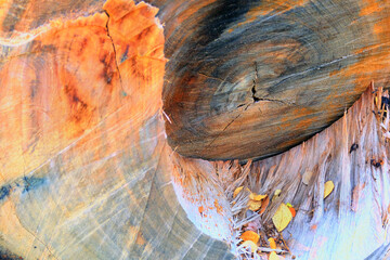 wood texture with natural patterns