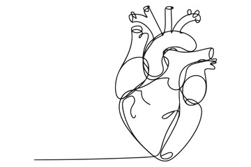 Continuous one line drawing of human heart with blood vessels anatomical heart outline vector illustration
