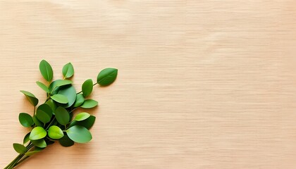 Flat lay of green leaves on wooden background for nature and wellness concept