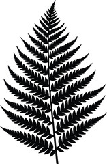 Naklejka premium Green fern leaf isolated on a white background, showcasing its intricate frond and natural beauty