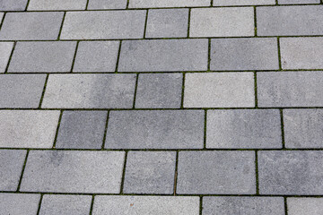 Gray stone pavement tiles forming a textured background pattern on the ground