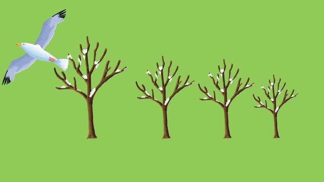 draw scenery of leafless branch ice tree with snow and white birds fly upside on green screen background
