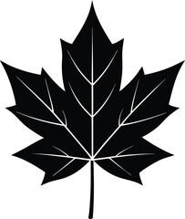 A colorful maple leaf floral vector with elegant leaf and poinsettia decoration perfect for a nature-inspired design