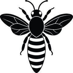 A charming cartoon bee and a flower, a black and white vector illustration of a happy insect