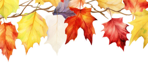 PNG Autumn leave backgrounds leaves maple.