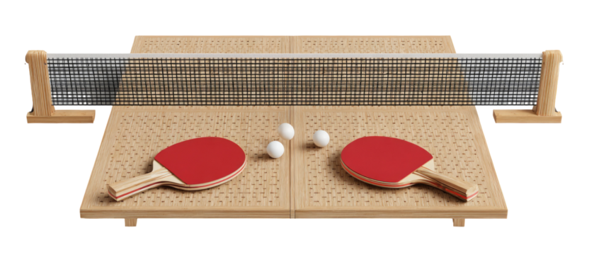 Table Tennis Setup
