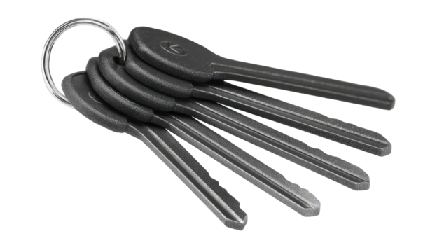 A cluster of black keys with a metal ring