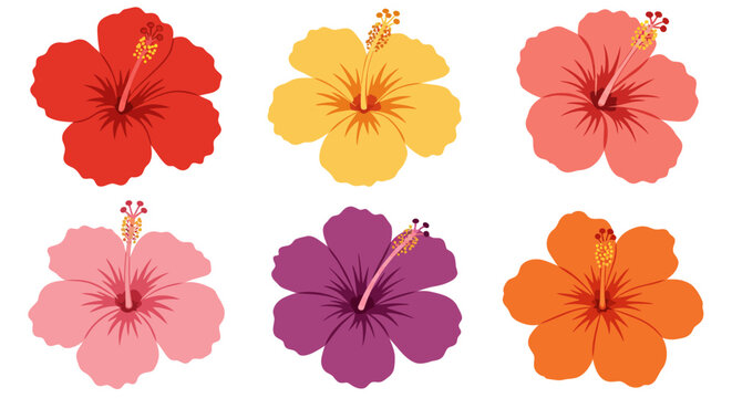 Hibiscus Icon Images – Browse 104,418 Stock Photos, Vectors, and
