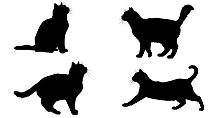 Four distinct black cat silhouettes showcasing various poses and movements on a clean white background